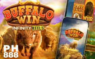 How to Play PG Soft Buffalo Win Online Casino Slots At PH888?