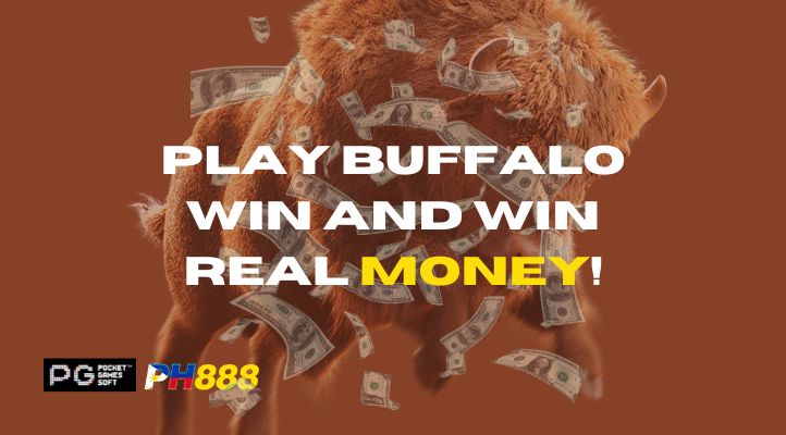 Can I Earn Real Money Playing PG Soft Buffalo Win?