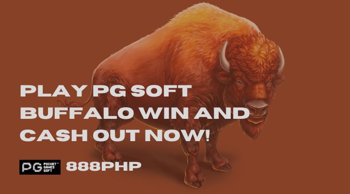  How Can I Withdraw the Money I Win Playing PG Soft Buffalo Win?